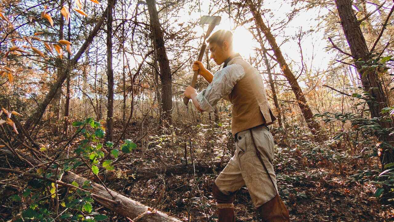 Best Tree Trimming and Pruning  in Auburn, IL